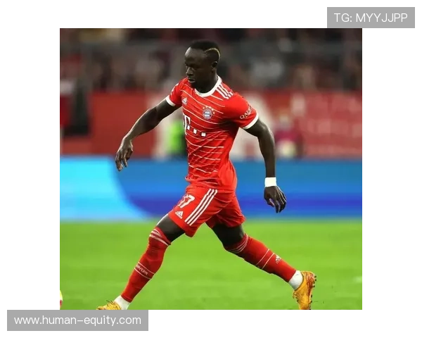 法尔克回应拜仁引进小蜘蛛传闻不实